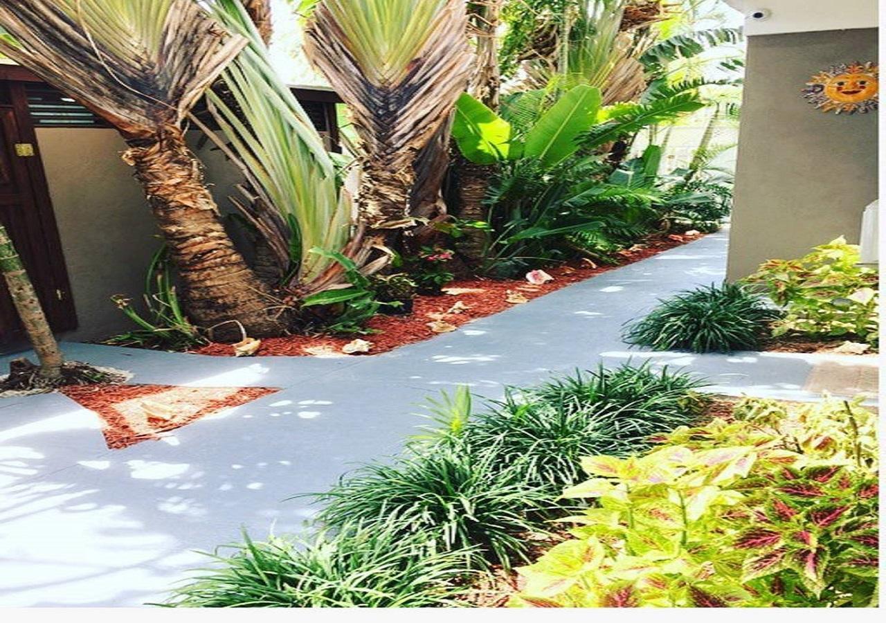 나사우 The Oasis Retreat 아파트 외부 사진